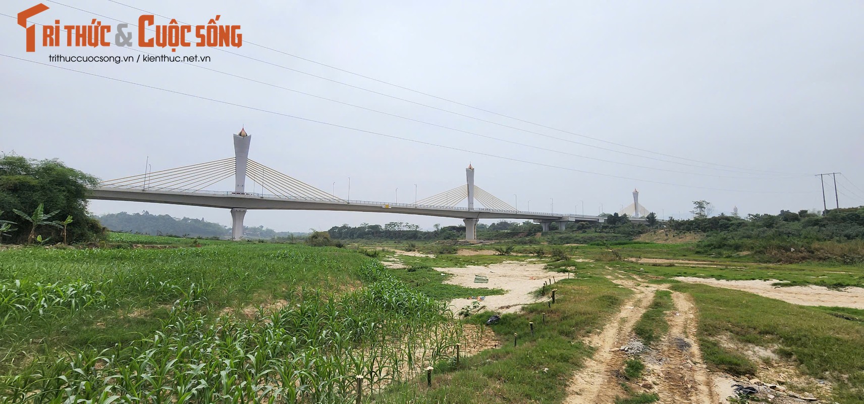 Can canh con cat, soi song Lo lo thien duoi chan cau Tinh Huc-Hinh-9