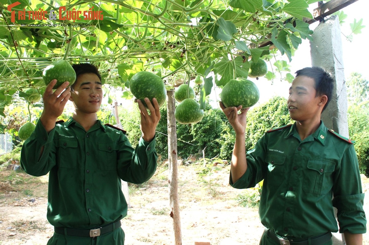 Ngo ngang doanh trai Don bien phong Cau Bong-Hinh-10