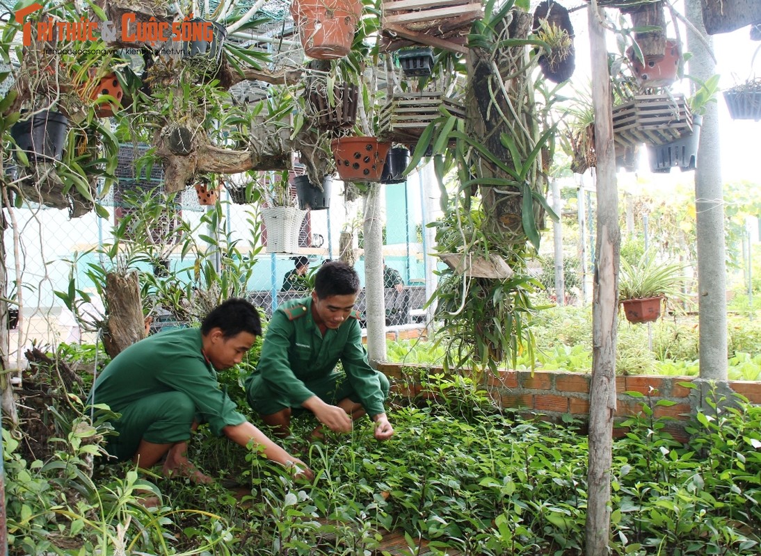 Ngo ngang doanh trai Don bien phong Cau Bong-Hinh-11