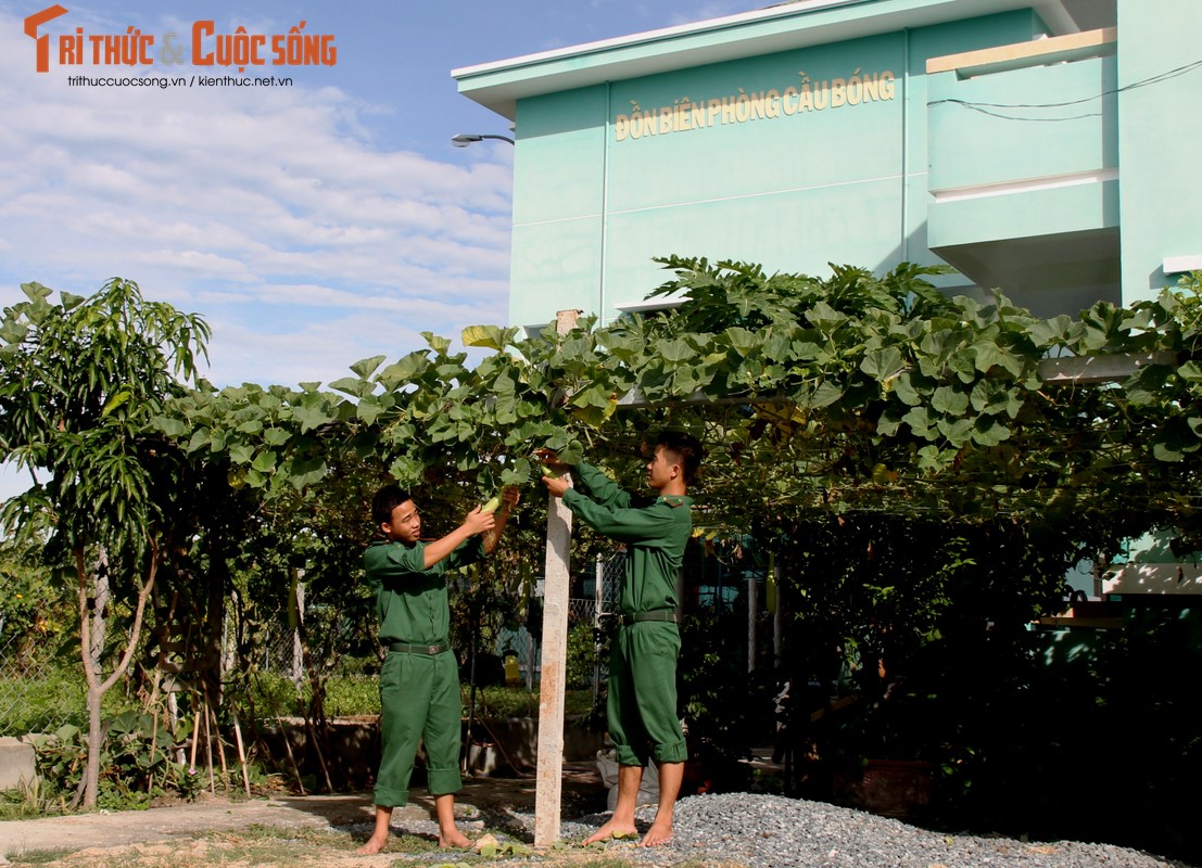 Ngo ngang doanh trai Don bien phong Cau Bong-Hinh-5