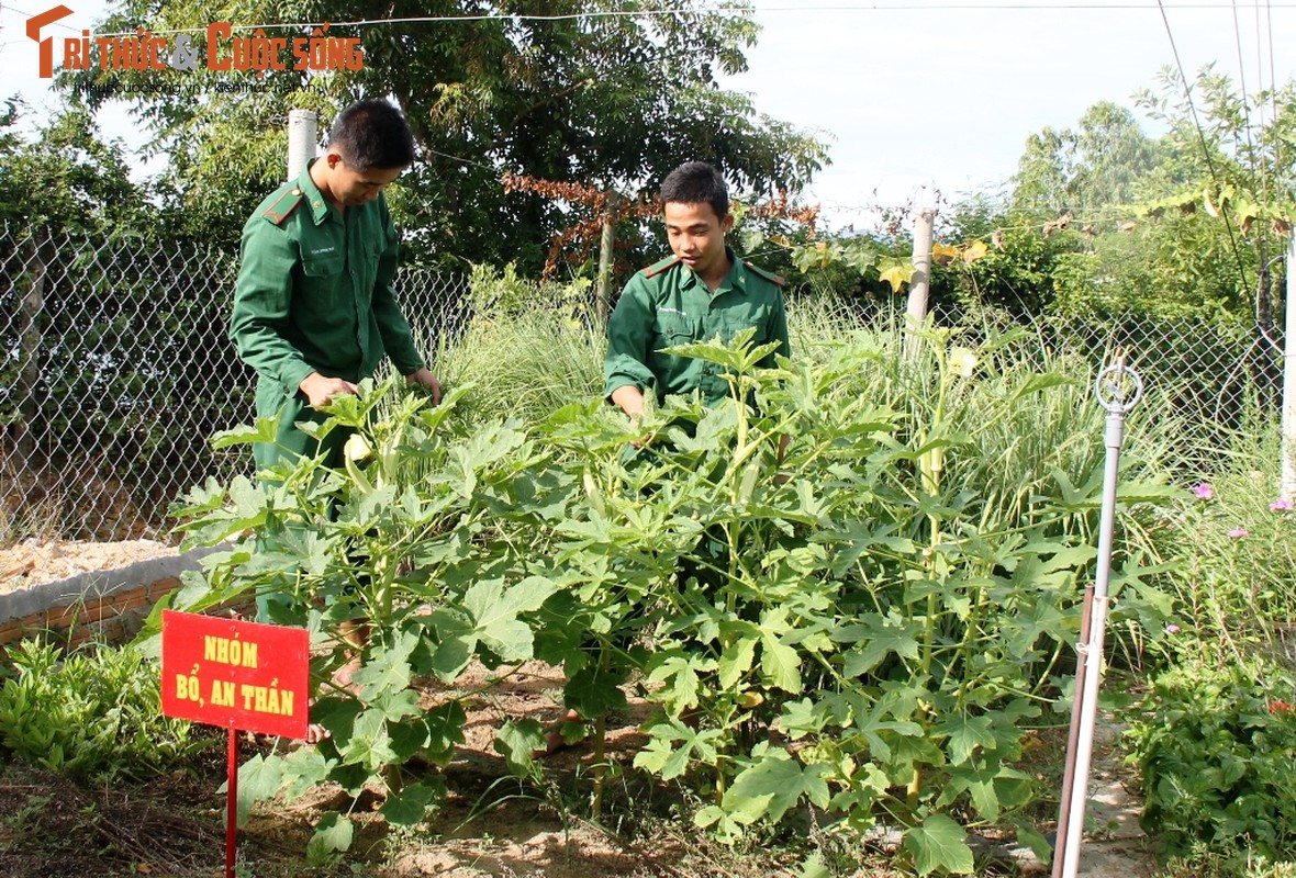 Ngo ngang doanh trai Don bien phong Cau Bong-Hinh-9