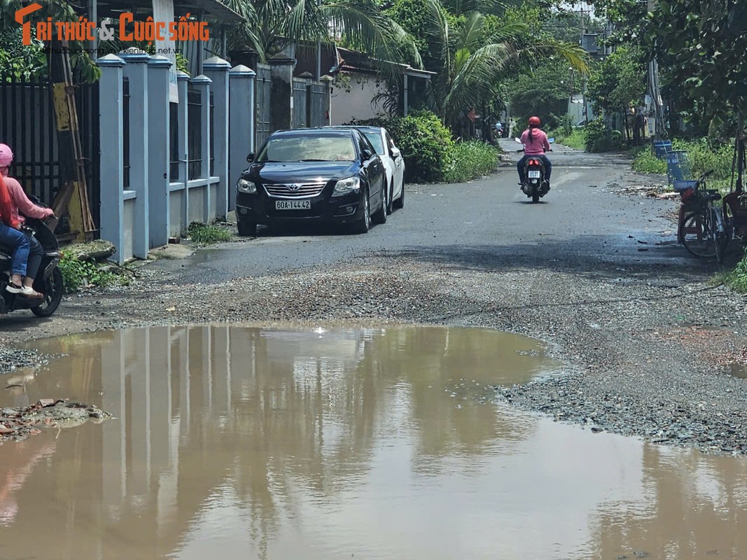 Dong Nai: Muc so thi “con duong to lua” tai Hoa An, Bien Hoa-Hinh-11