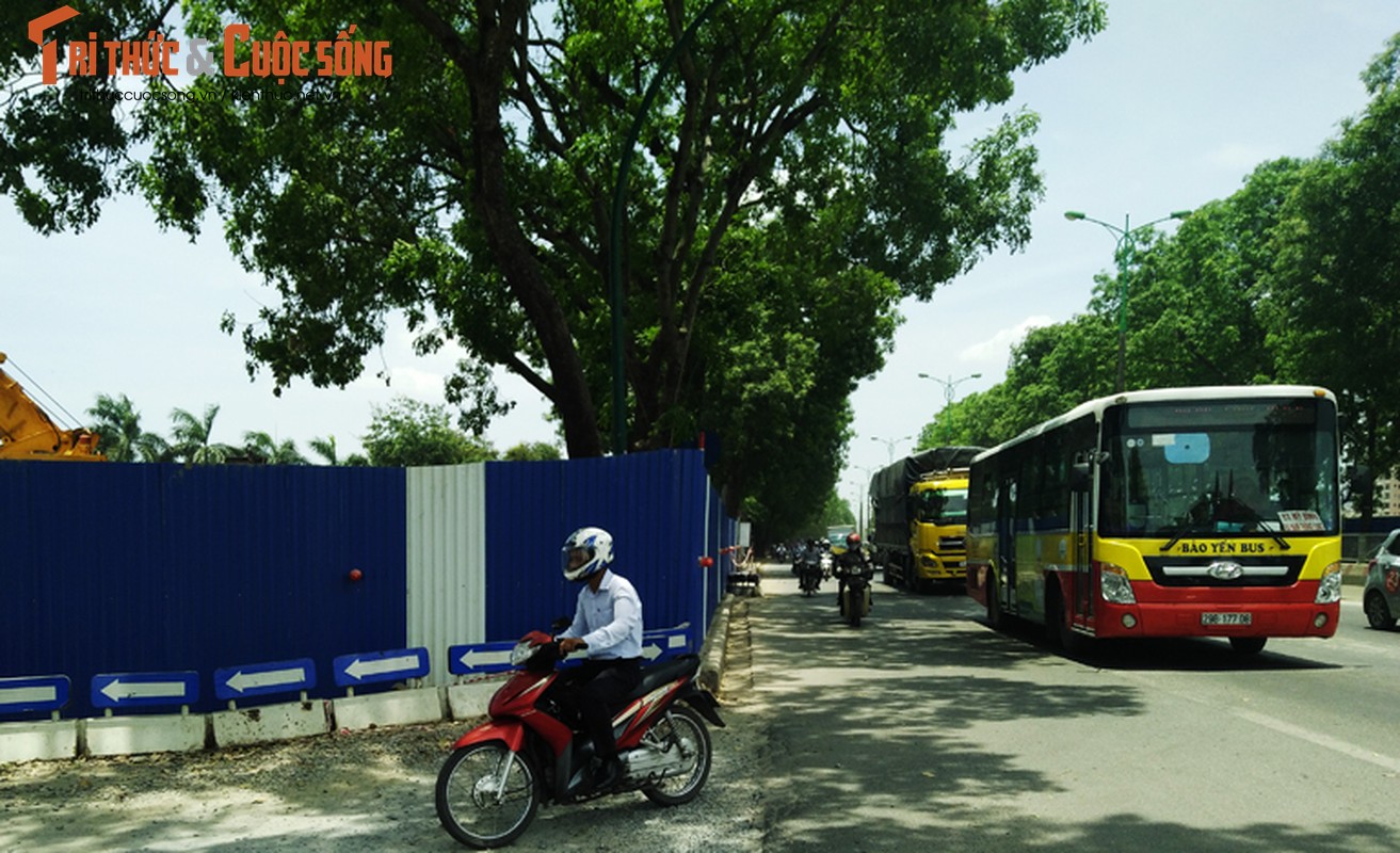 Ngam hang cay xanh muot tren duong Pham Van Dong truoc khi chat ha-Hinh-11