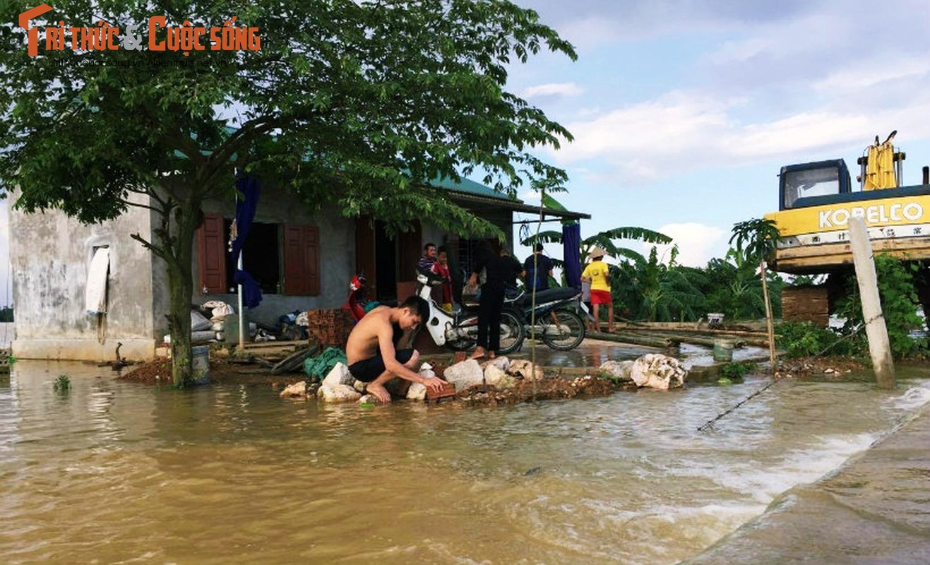 Can canh nuoc de song Bui 2 nhan chim trang trai nguoi dan-Hinh-5