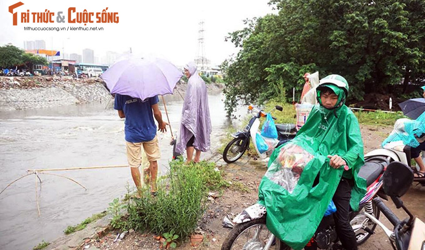 Anh: Mac mua lon, dan Ha Noi hi hung do ra song bat ca-Hinh-5