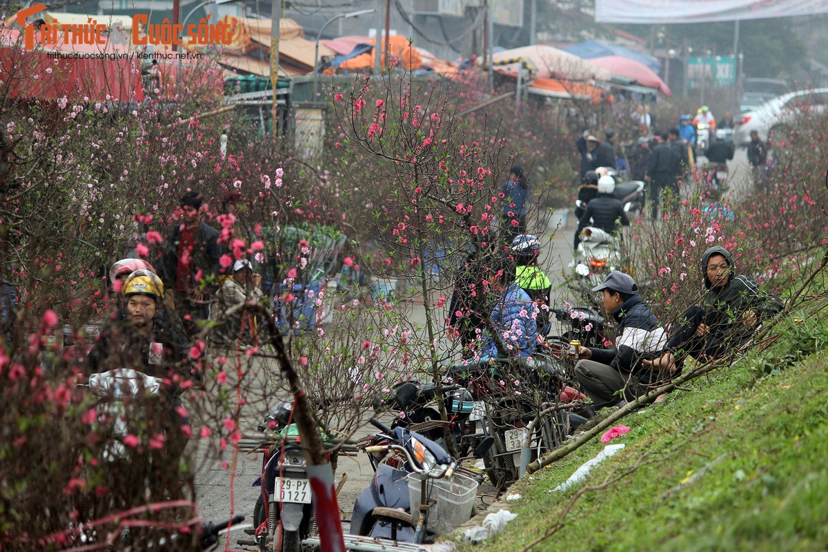 Anh: Cho Quang An tran ngap hoa dao ngay can Tet Nguyen dan 2019