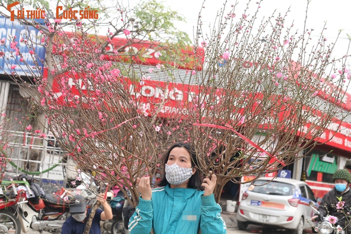 Cho hoa Tet Ha Noi vang chua tung co, tieu thuong ue oai cho khach-Hinh-10