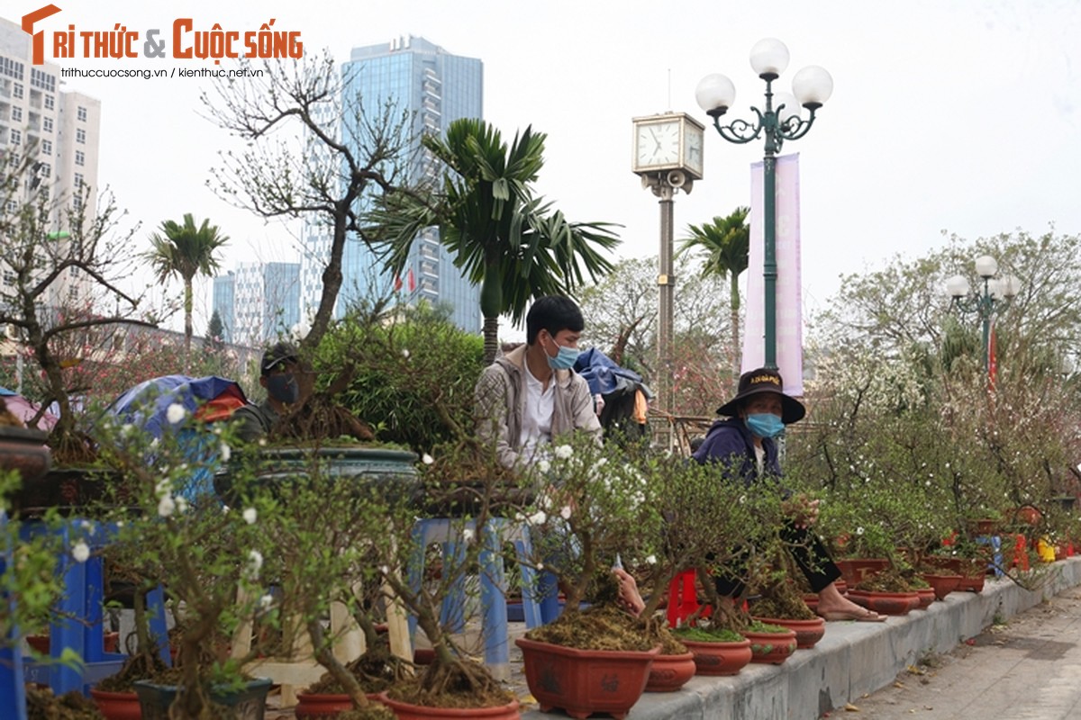 Cho hoa Tet Ha Noi vang chua tung co, tieu thuong ue oai cho khach-Hinh-7