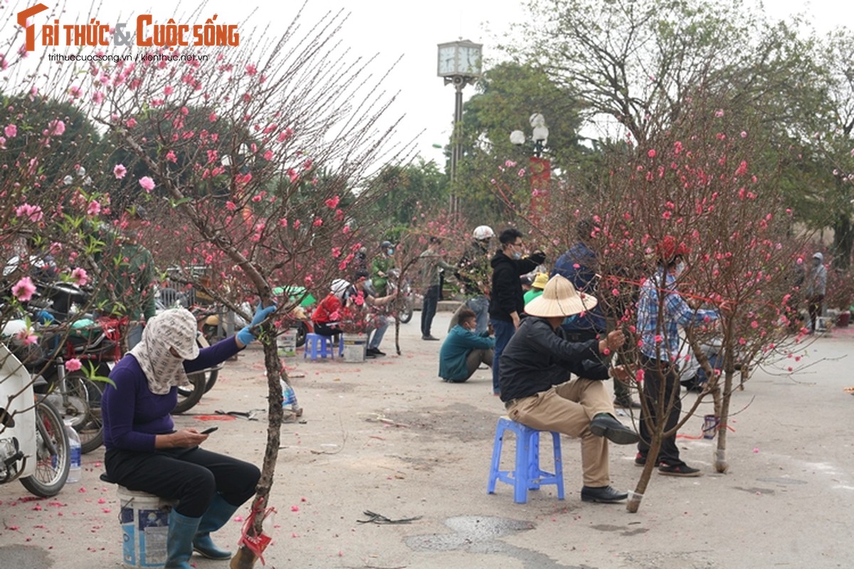 Cho hoa Tet Ha Noi vang chua tung co, tieu thuong ue oai cho khach-Hinh-9