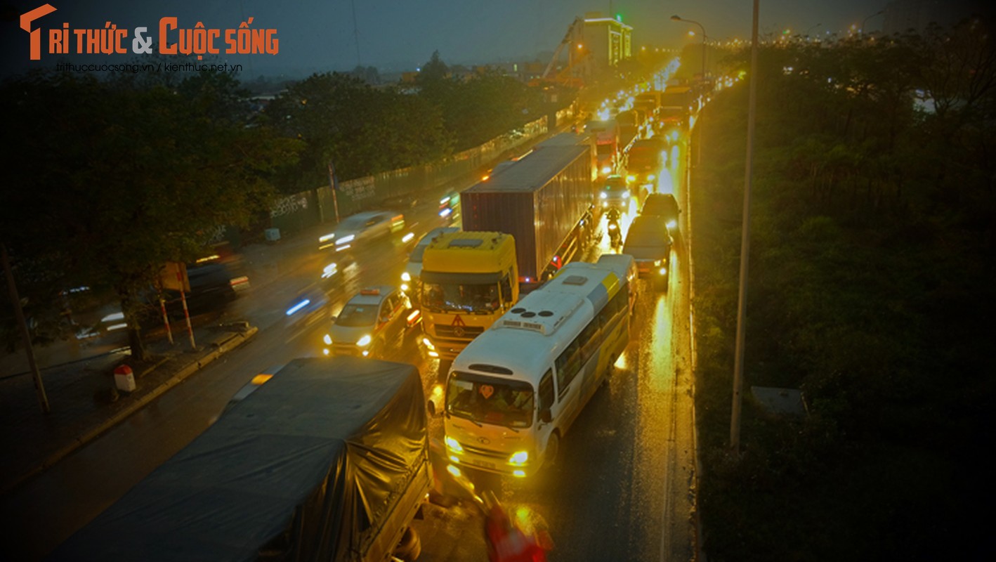 Anh: Ha Noi un tac hang cay so trong mua mu-Hinh-2