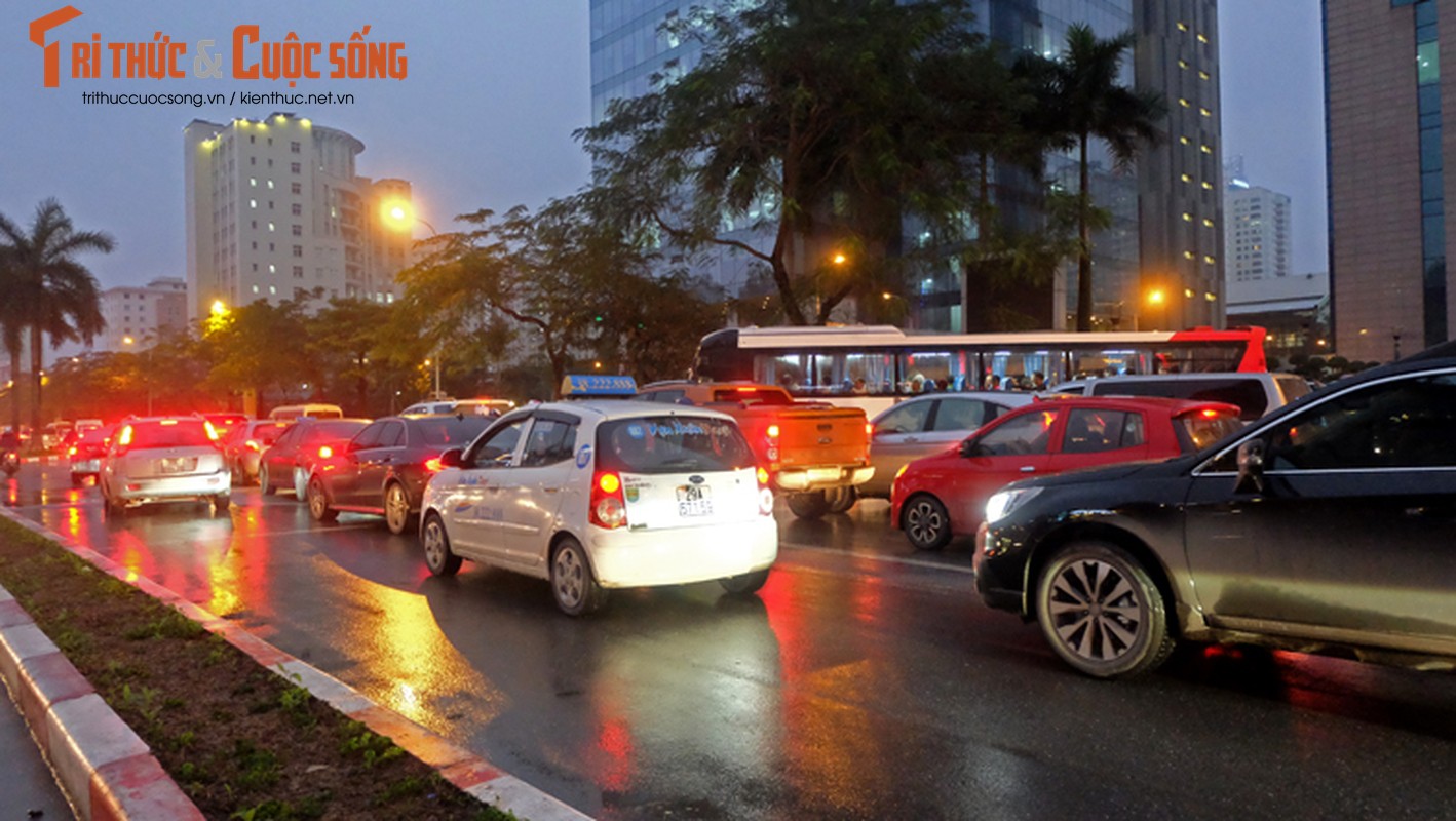 Anh: Ha Noi un tac hang cay so trong mua mu-Hinh-5