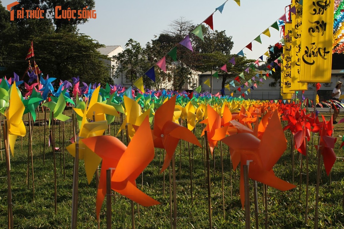 Phat me voi “canh dong chong chong” sac mau tai Hoang thanh Thang Long-Hinh-6