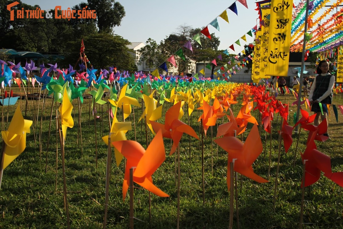 Phat me voi “canh dong chong chong” sac mau tai Hoang thanh Thang Long-Hinh-7