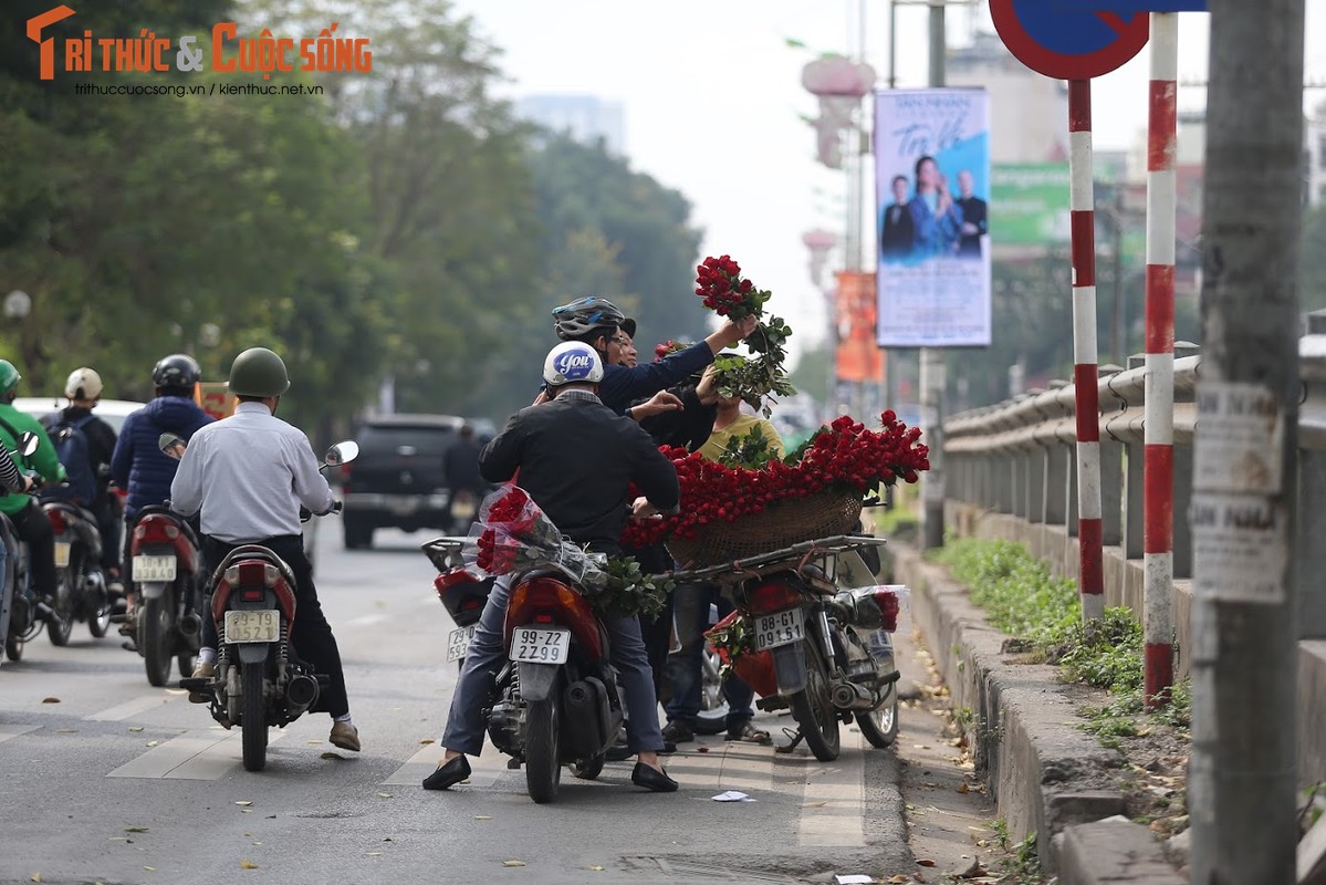 Hoa Valentine e am, u ru duoi nang nong-Hinh-4