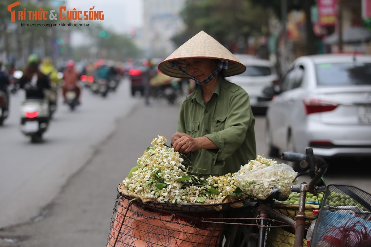 Mua hoa buoi thom nuc len loi khap goc pho Ha Noi-Hinh-9