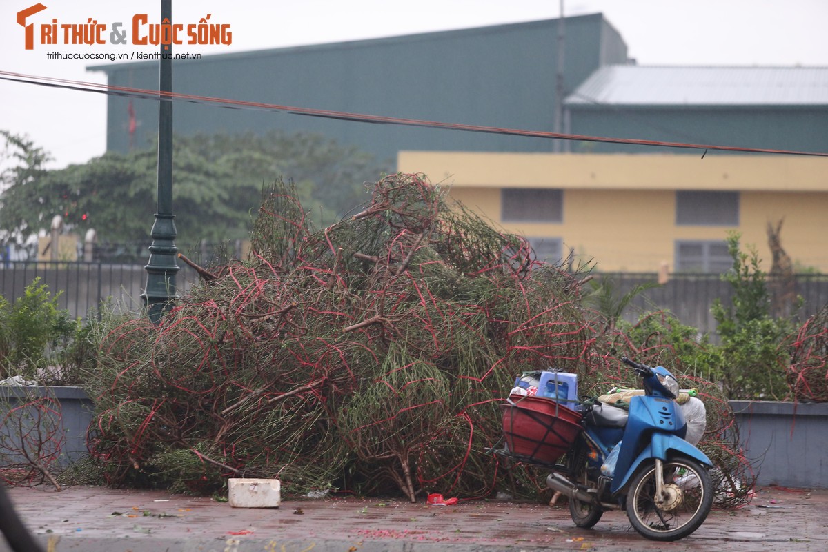 Chay nuoc mat canh dao, quat bi tieu thuong dap bo chieu 30 Tet-Hinh-10