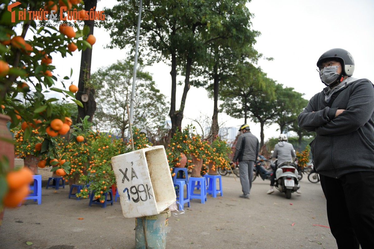 Dao, quat xa hang gia soc tieu thuong than: “Nam nay mat Tet“-Hinh-2