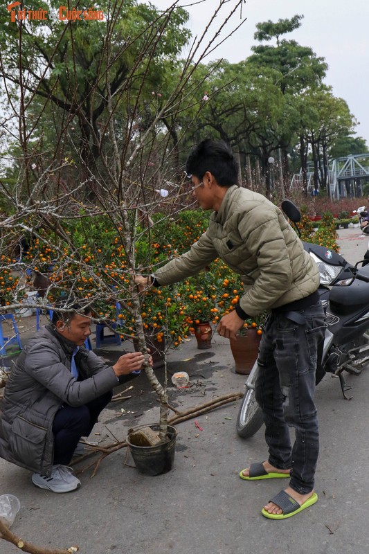 Dao qua thi truong chieu 28 Tet Nham Dan, xa hang bat chap-Hinh-14