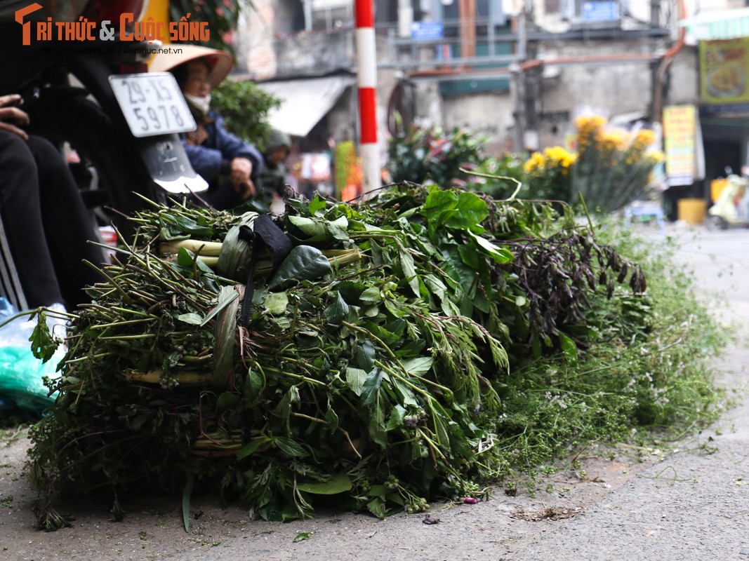 Tam nuoc la mui gia, mot phong tuc dep ngay Tet-Hinh-8