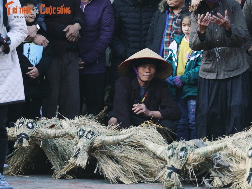 Doc dao le hoi “Trau rom bo ra” ton vinh van hoa lua nuoc-Hinh-4