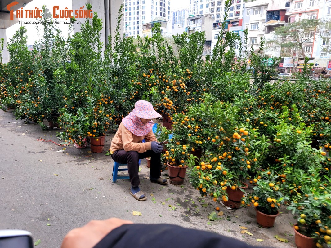 Ha Noi: Tieu thuong cho hoa Tet lo lang, khach hang xem la chinh-Hinh-3