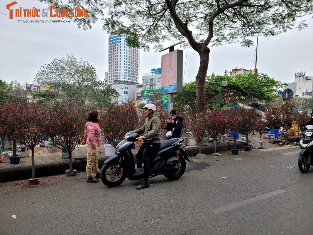 View - 	Hà Nội Tiểu thương chợ hoa Tết lo lắng, khách hàng xem là chính 