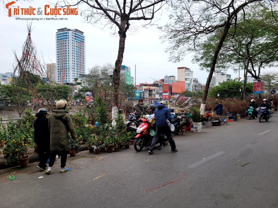 Ha Noi: Tieu thuong cho hoa Tet lo lang, khach hang xem la chinh-Hinh-8