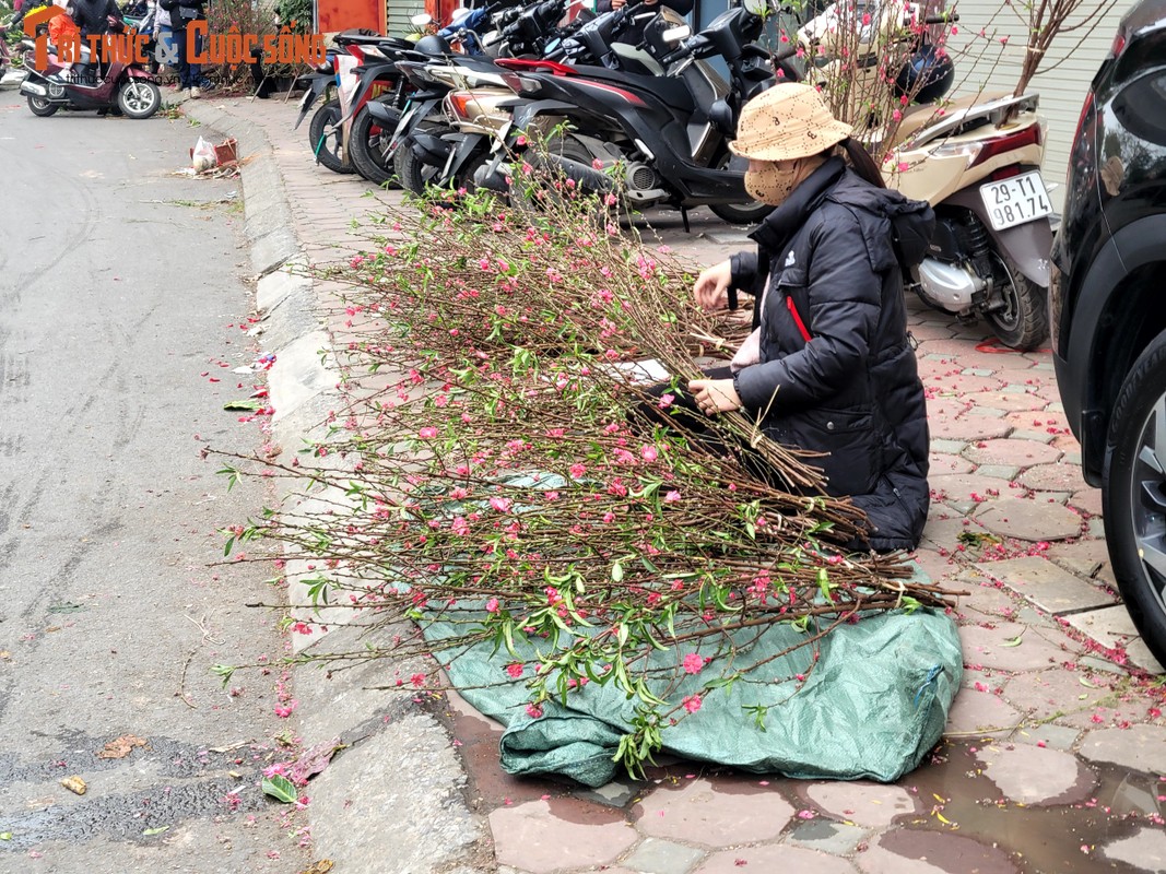 Ha Noi: Tieu thuong cho hoa Tet lo lang, khach hang xem la chinh-Hinh-9