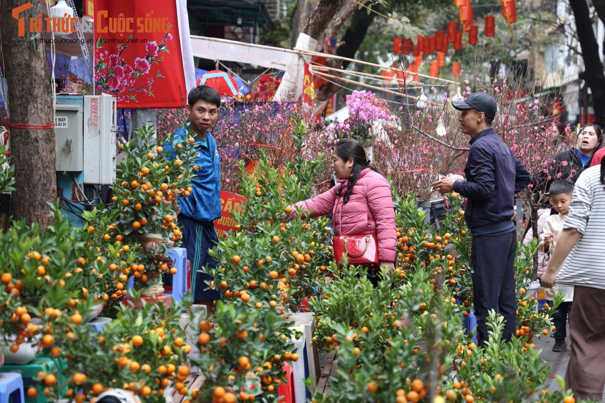 Cho hoa co nhat Ha Noi dong duc nguoi xem, suc mua han che-Hinh-10