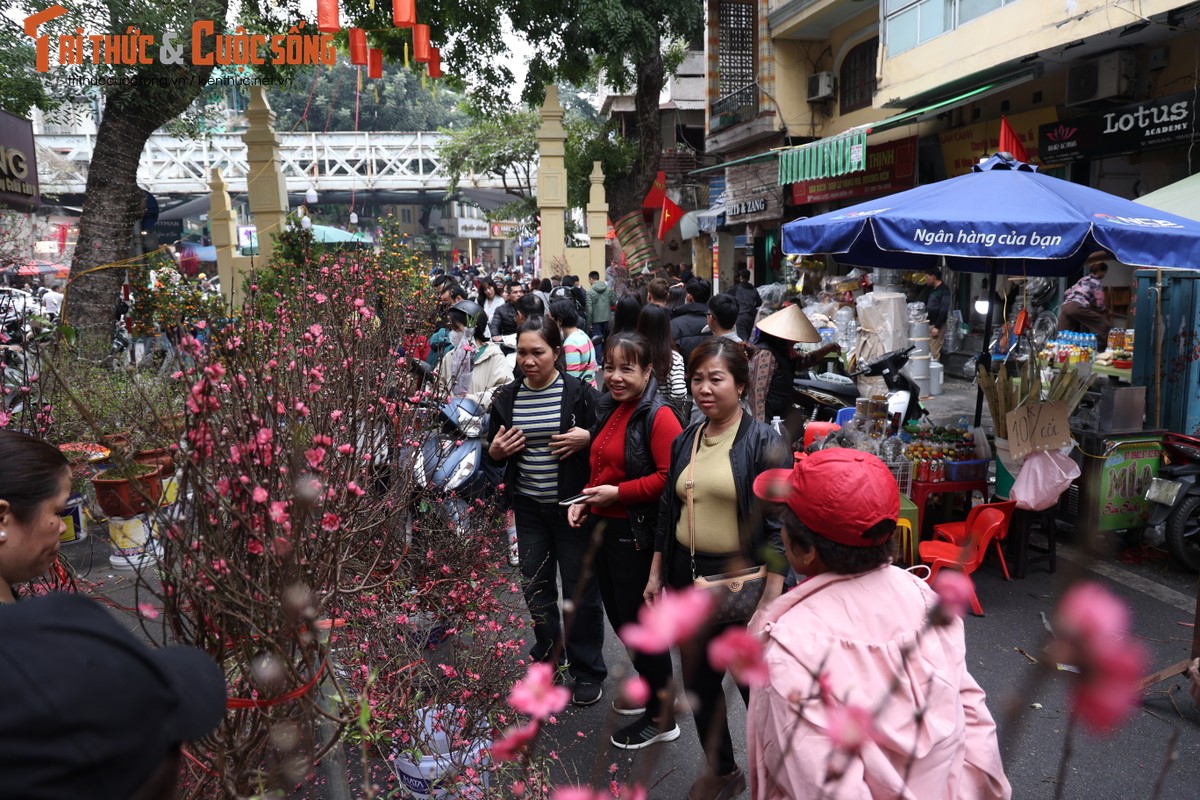 Cho hoa co nhat Ha Noi dong duc nguoi xem, suc mua han che-Hinh-2