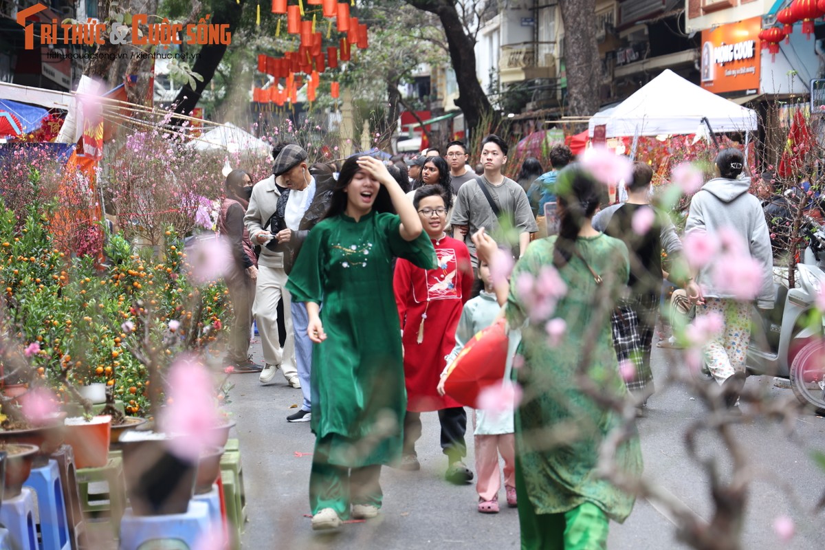 Cho hoa co nhat Ha Noi dong duc nguoi xem, suc mua han che-Hinh-5