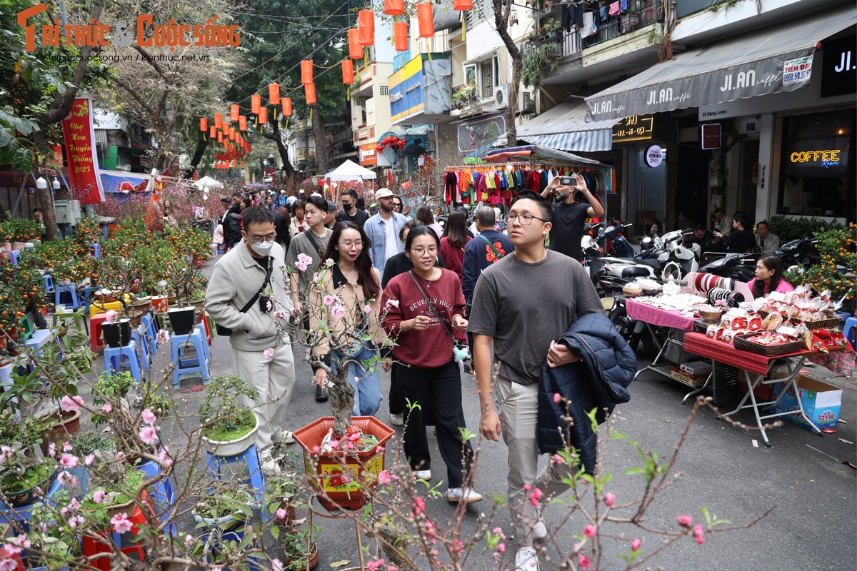 Cho hoa co nhat Ha Noi dong duc nguoi xem, suc mua han che-Hinh-6