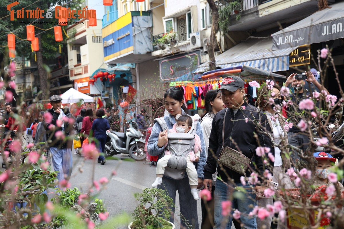 Cho hoa co nhat Ha Noi dong duc nguoi xem, suc mua han che-Hinh-7