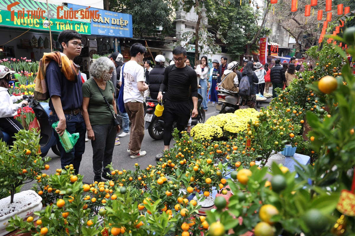 Cho hoa co nhat Ha Noi dong duc nguoi xem, suc mua han che-Hinh-9