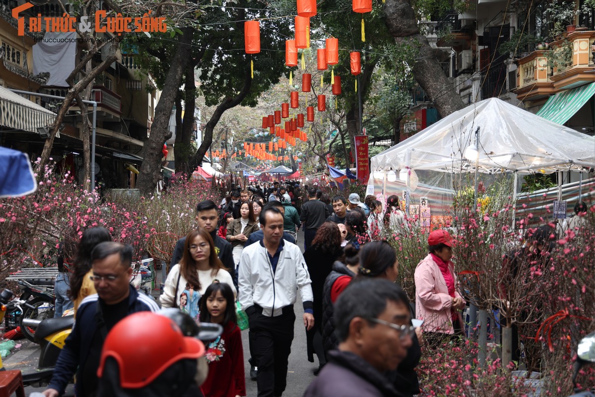 Cho hoa co nhat Ha Noi dong duc nguoi xem, suc mua han che