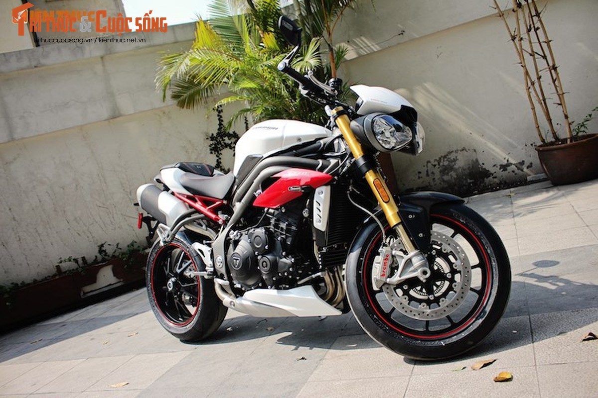 Moto Triumph Speed Triple R chinh hang gia 699 trieu tai VN-Hinh-15