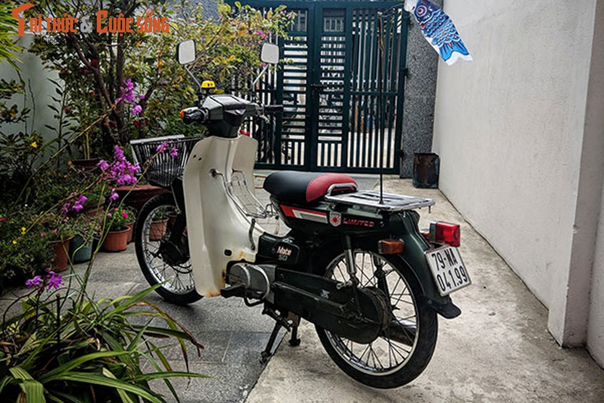 Can canh Yamaha Mate 50 