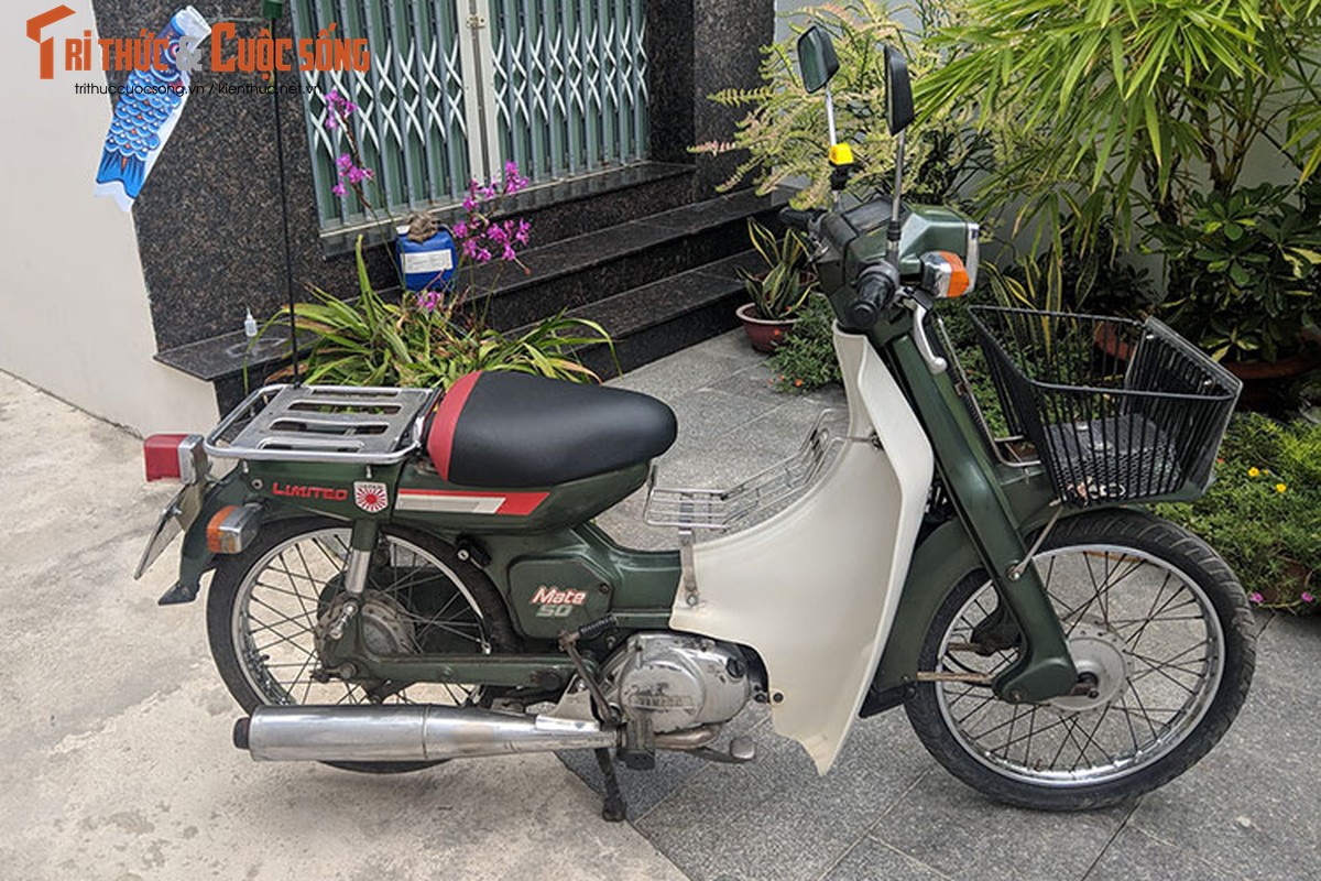 Can canh Yamaha Mate 50 