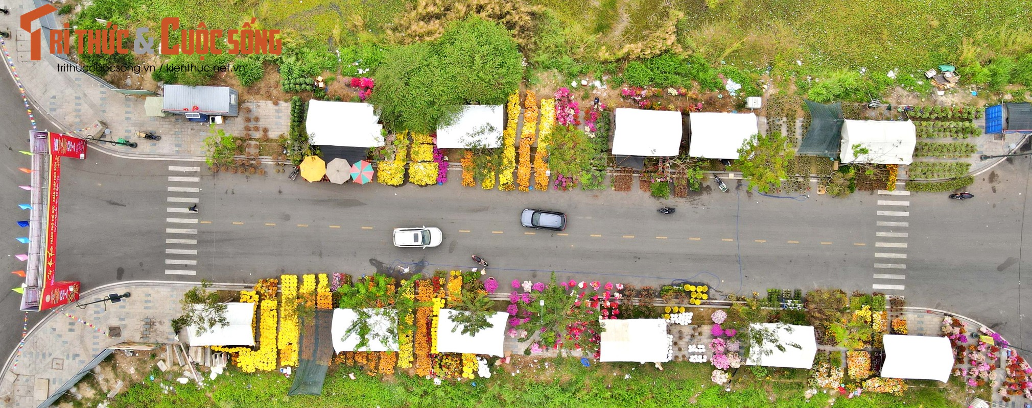 View - 	Rực rỡ chợ hoa xuân TP Thủ Đức