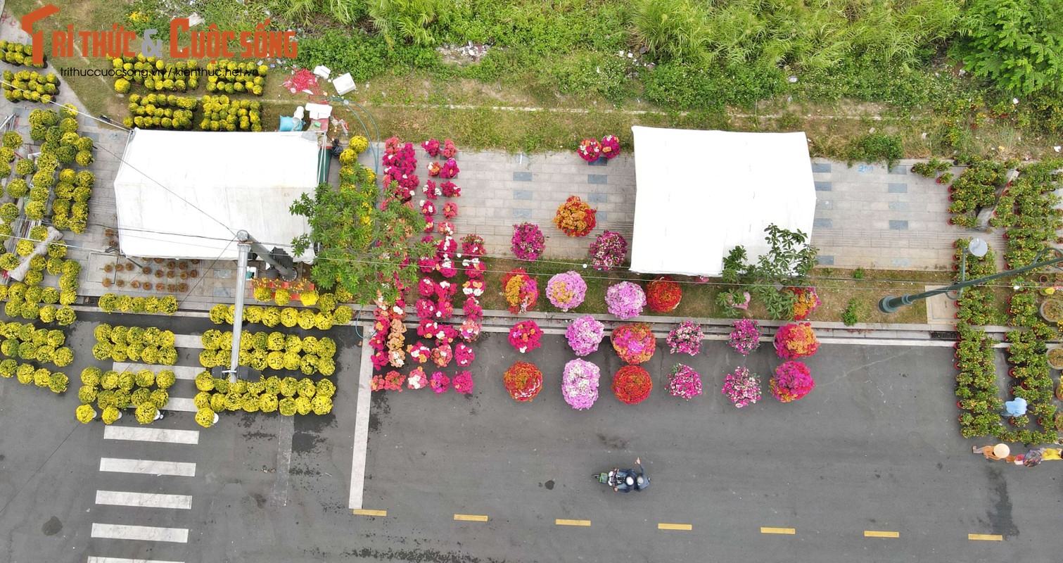 View - 	Rực rỡ chợ hoa xuân TP Thủ Đức