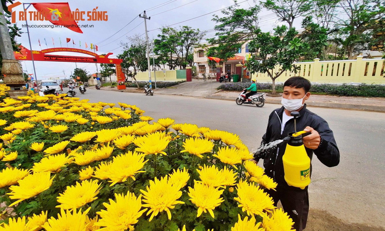 Sac xuan da ve tren que huong Hai doi Hoang Sa-Hinh-2