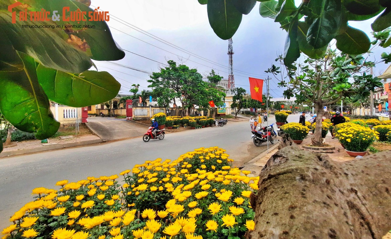 View - 	Sắc xuân đã về trên Quê hương Hải đội Hoàng Sa