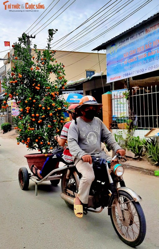 Sac xuan da ve tren que huong Hai doi Hoang Sa-Hinh-6