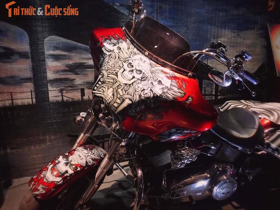 Harley-Davidson Fatboy do touring “sieu doc” tai Ha Noi-Hinh-2