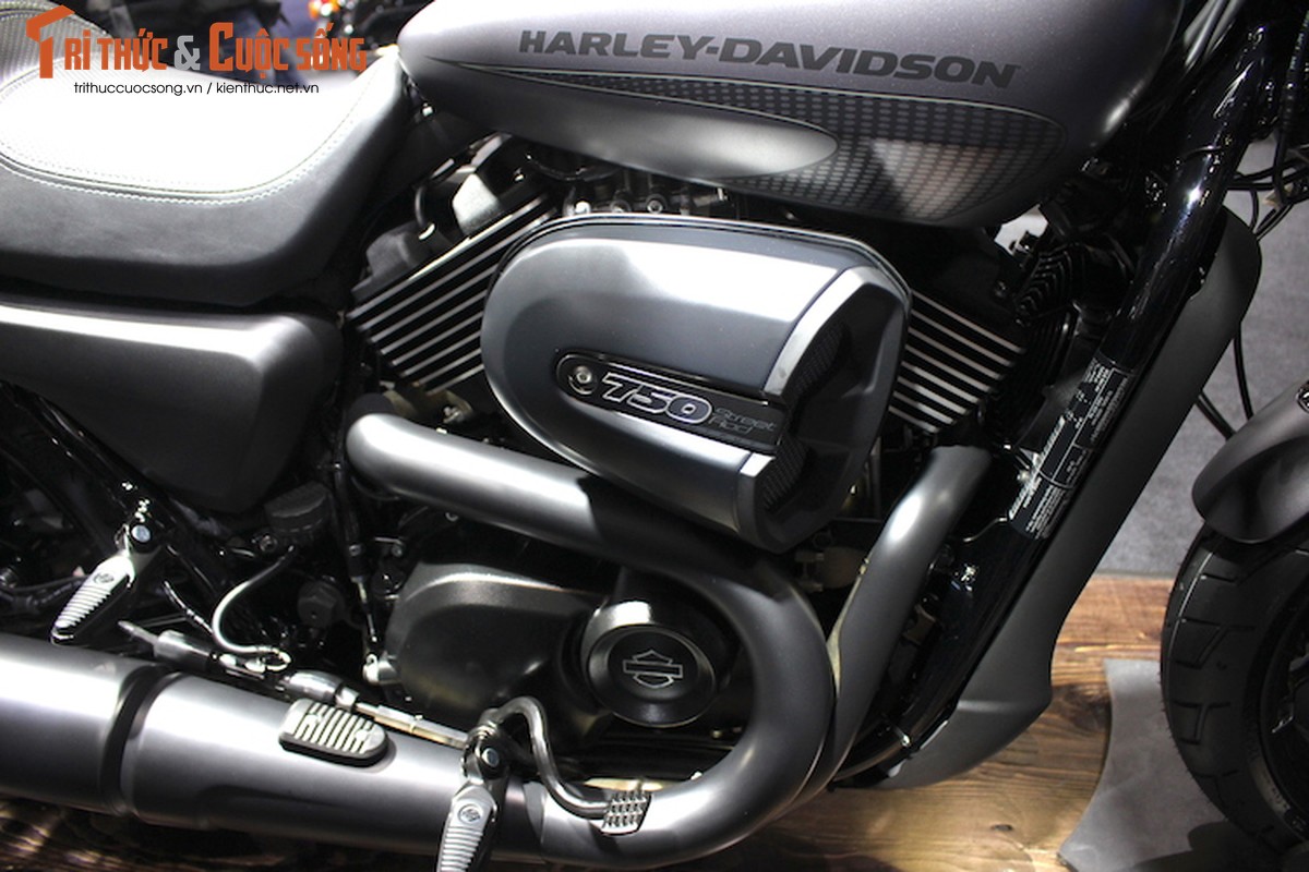 Harley-Davidson Street Rod &quot;chot gia&quot; hon 400 trieu tai VN-Hinh-7
