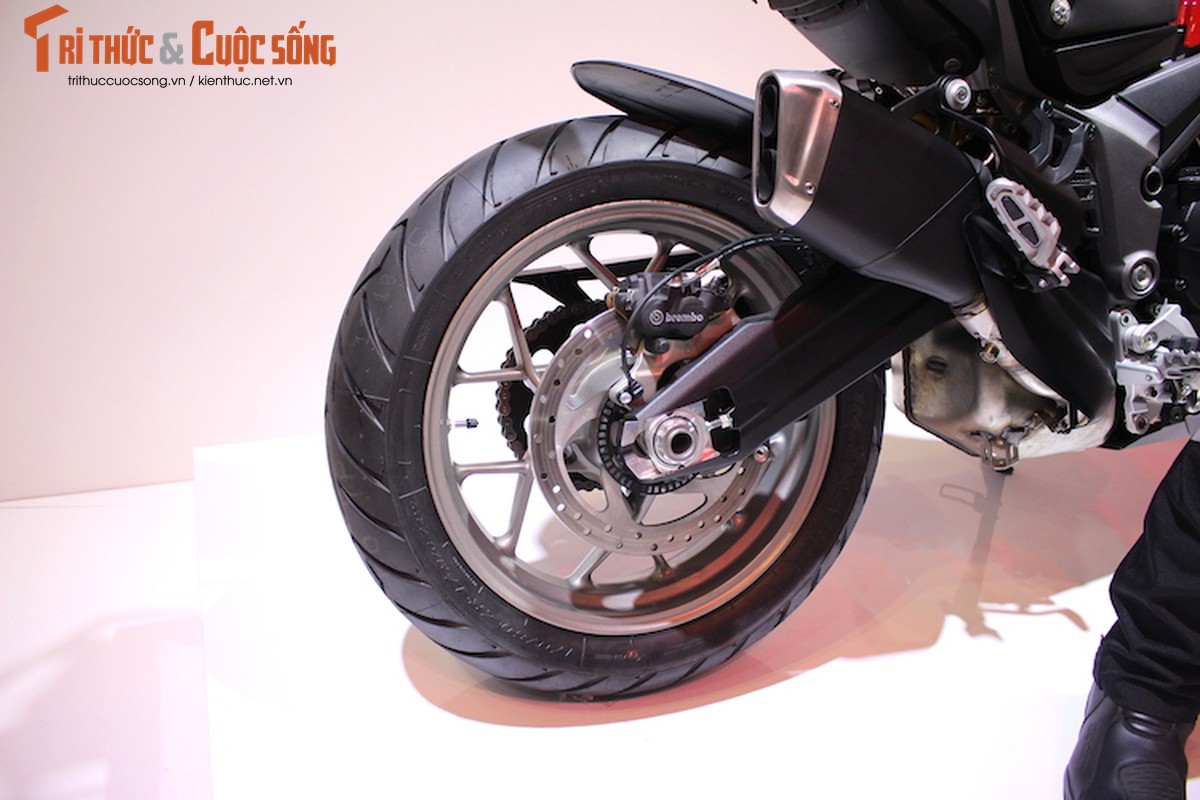 Can canh moto Ducati Multistrada 950 gia 550 trieu tai VN-Hinh-8