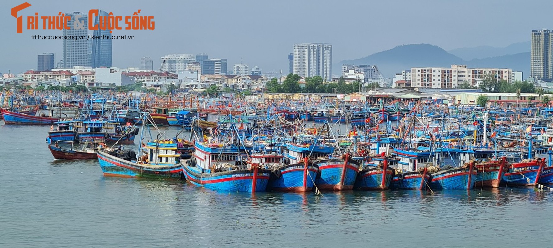 Da Nang: Au thuyen Tho Quang truoc gio sieu bao Noru do bo-Hinh-10