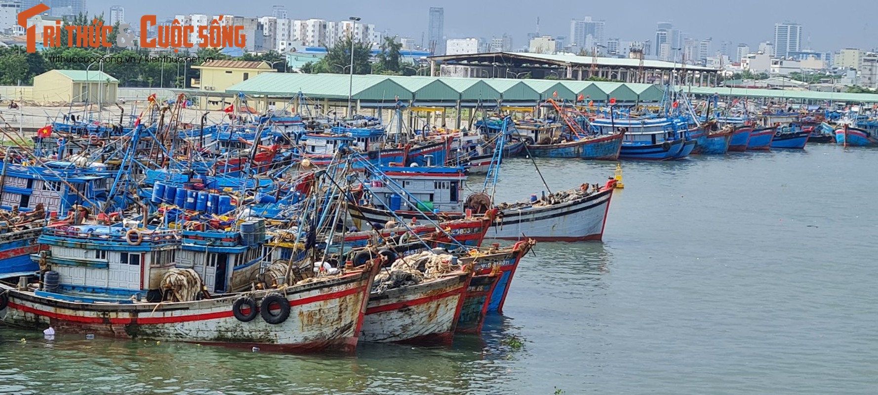 Da Nang: Au thuyen Tho Quang truoc gio sieu bao Noru do bo-Hinh-11