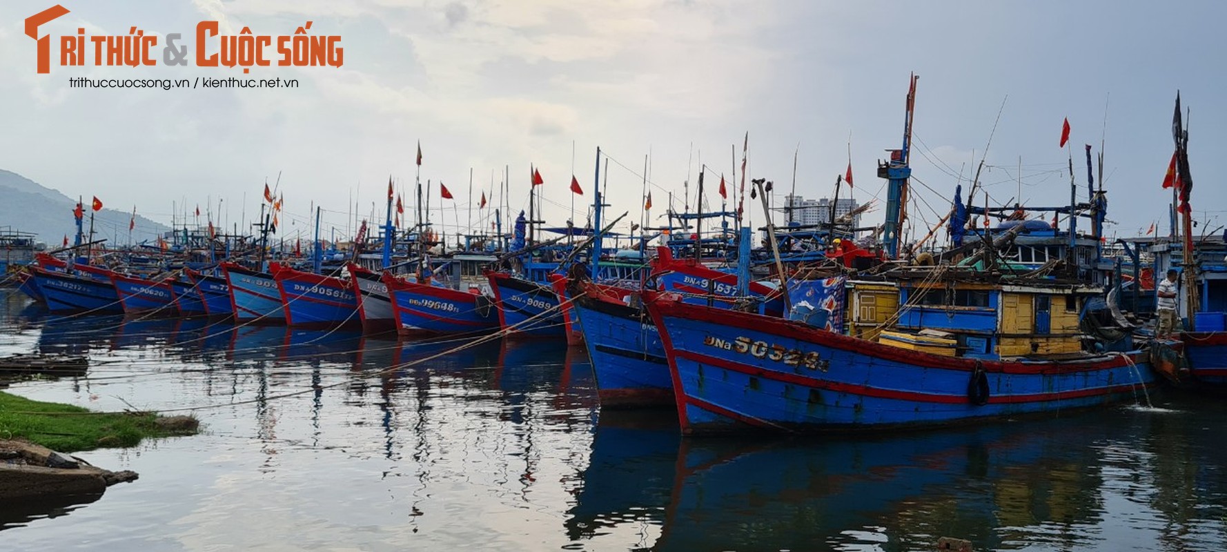 Da Nang: Au thuyen Tho Quang truoc gio sieu bao Noru do bo-Hinh-12