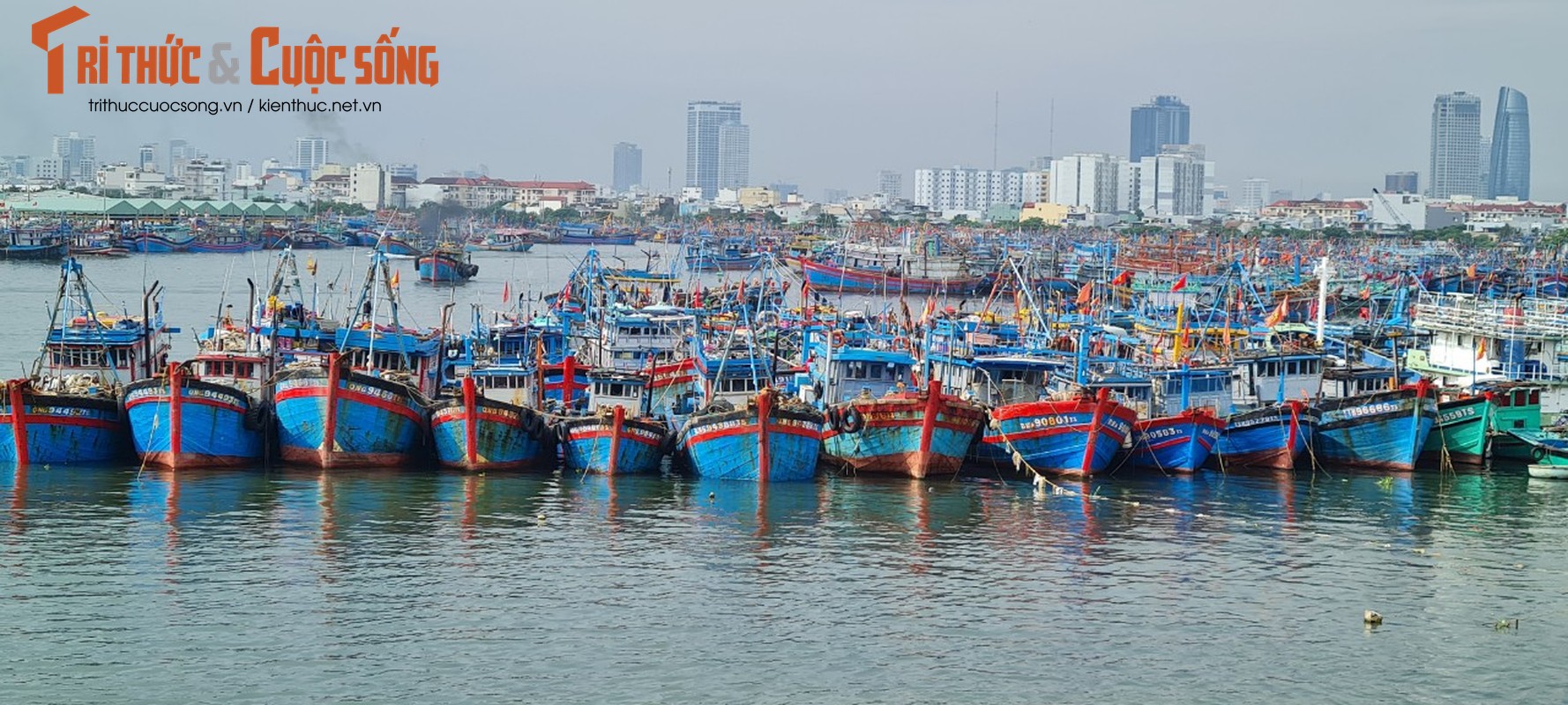 Da Nang: Au thuyen Tho Quang truoc gio sieu bao Noru do bo-Hinh-13